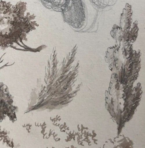 Woman Portrait with Hat, Trees 19th century -Drawing Antique Original - 7