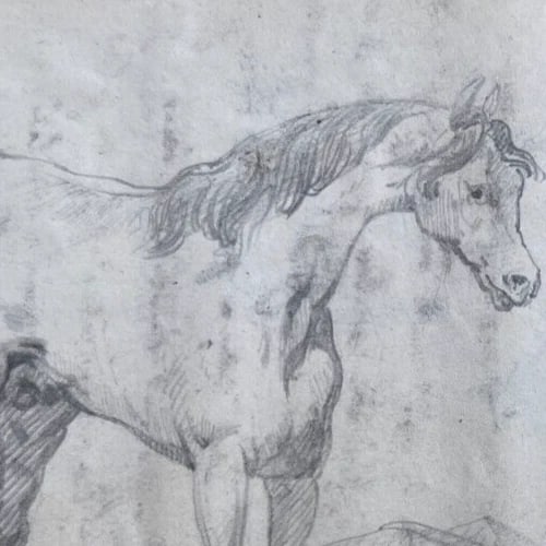 Man Portrait Horse Animal 19th century - Antique Original Drawing - 7