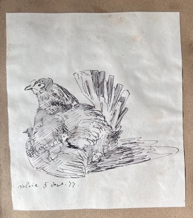 Landscape Chicken Woman Portrait - Antique Original Drawing 19th century - 5