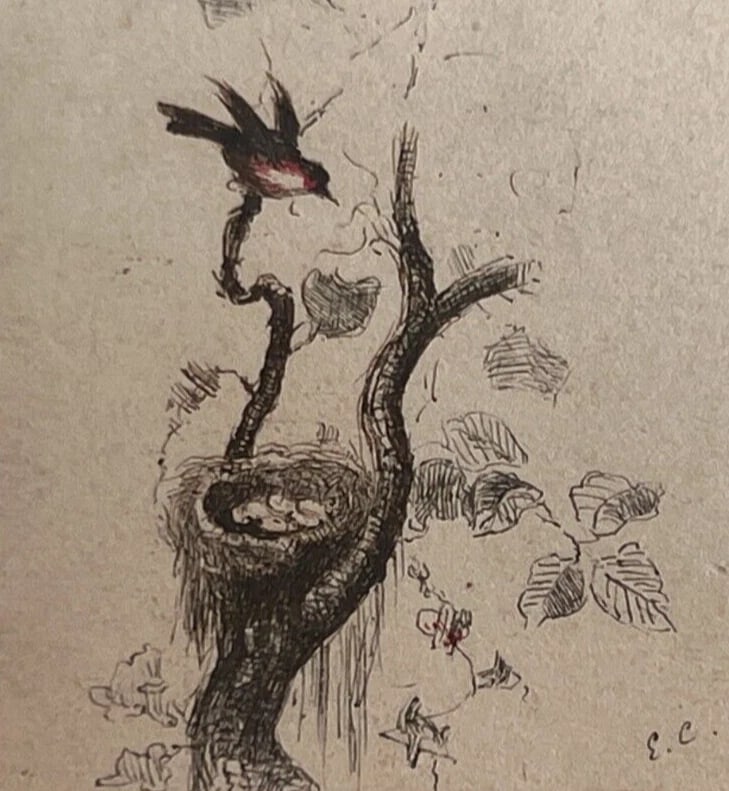 19th century Birds Tree - Drawing signed Antique Original: Title: 19th century Birds Tree - Drawing signed Antique Original Description: Ink on paper 4.5 x 4.5 cm / 1.77 inches laminated on paper Reserve: $100.00 Shipping: Domestic: Flat-rate of $22.00 to