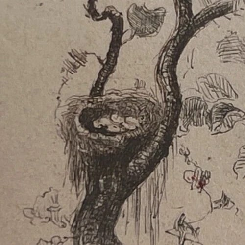 19th century Birds Tree - Drawing signed Antique Original - 4