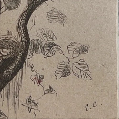 19th century Birds Tree - Drawing signed Antique Original - 5