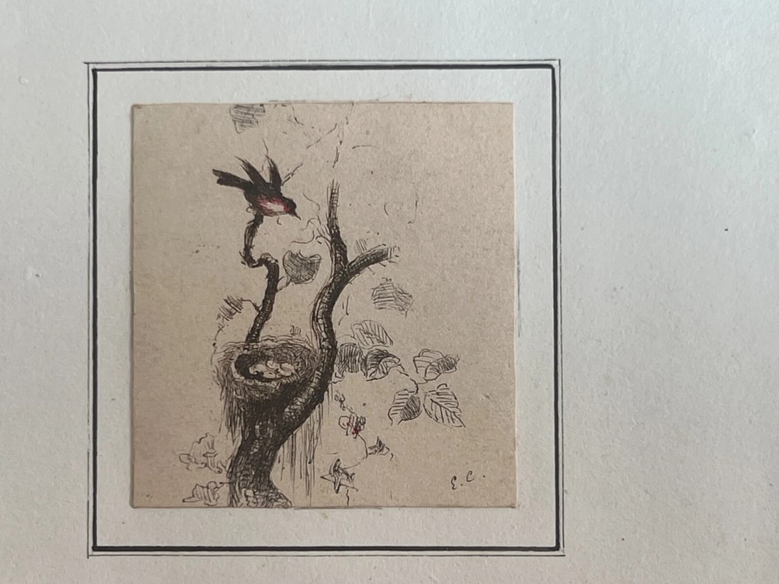 19th century Birds Tree - Drawing signed Antique Original - 6