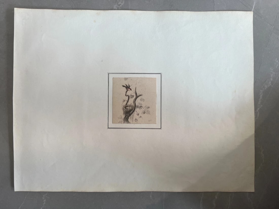 19th century Birds Tree - Drawing signed Antique Original - 7