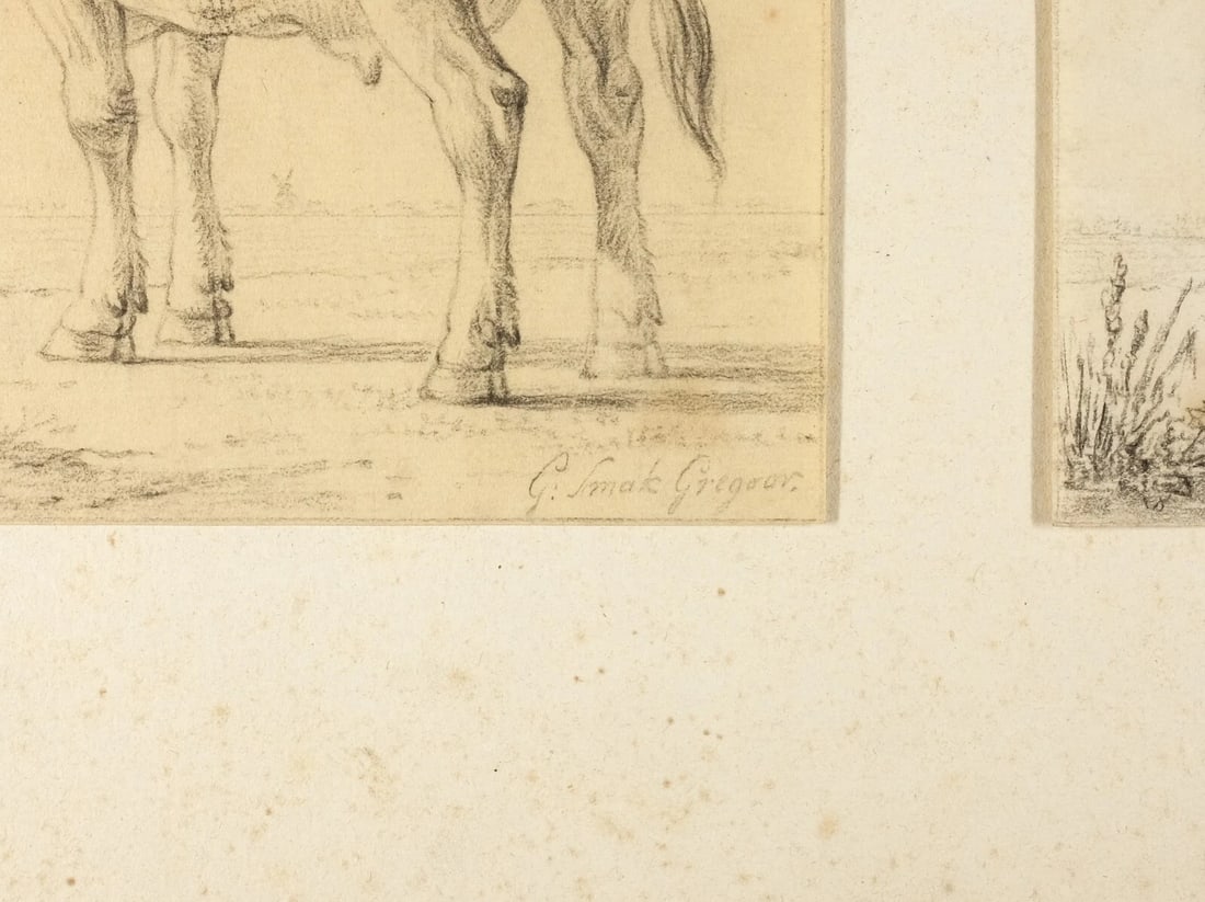 19th century Animal, Cows Antique Pencil Drawing Original - 2
