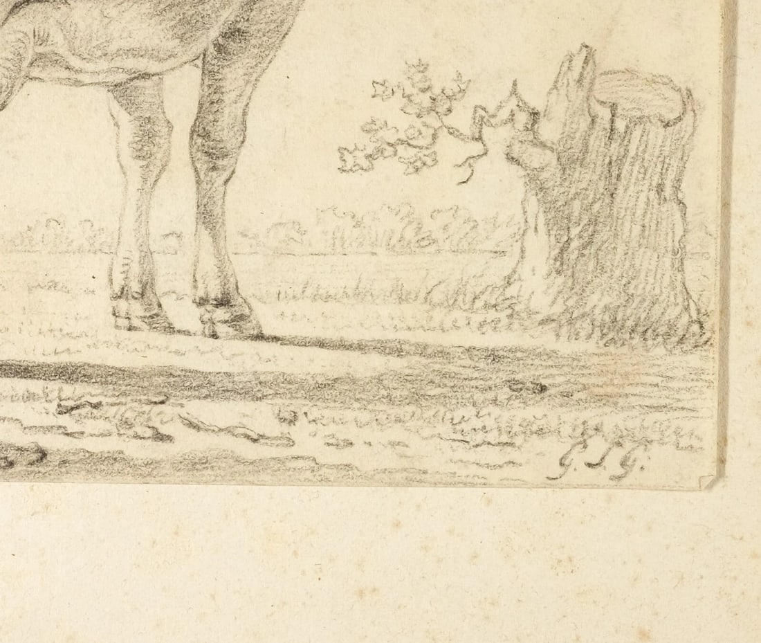 19th century Animal, Cows Antique Pencil Drawing Original - 3