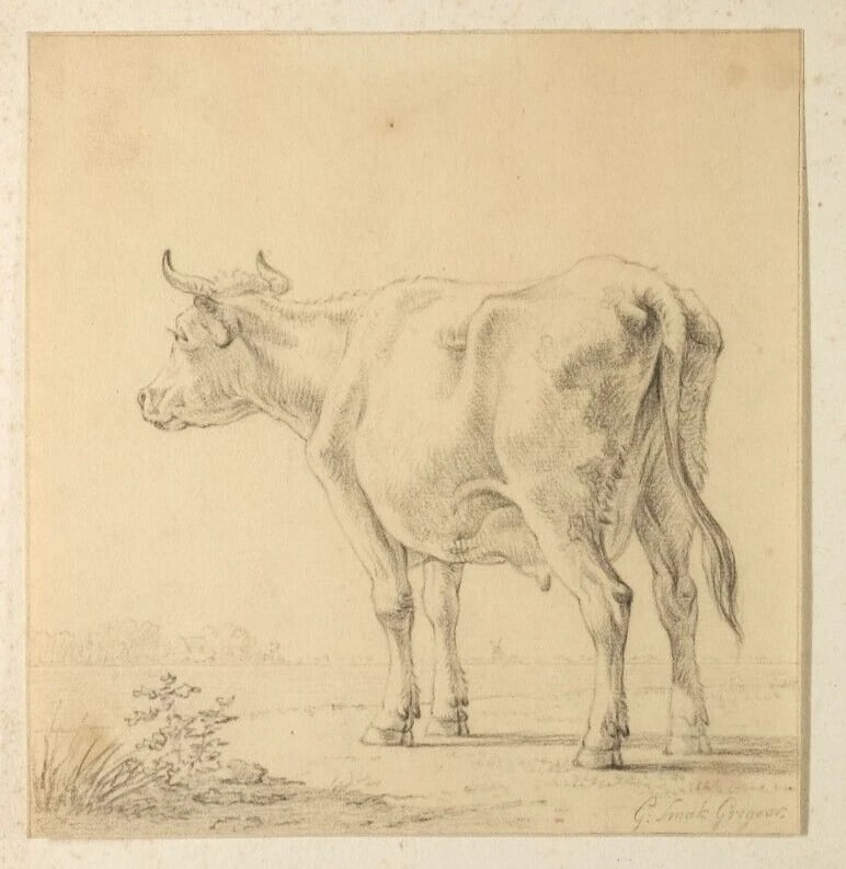 19th century Animal, Cows Antique Pencil Drawing Original - 4