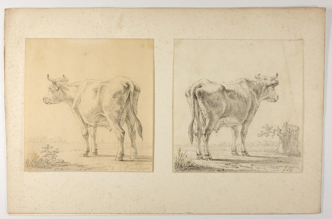 19th century Animal, Cows Antique Pencil Drawing Original - 6