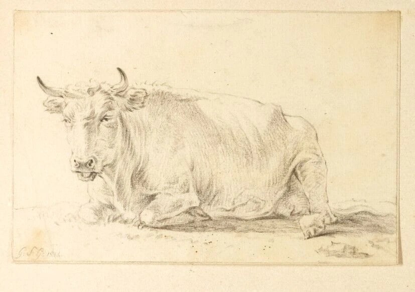 Antique Pencil Drawing Original 19th century Animal, Cows - 3