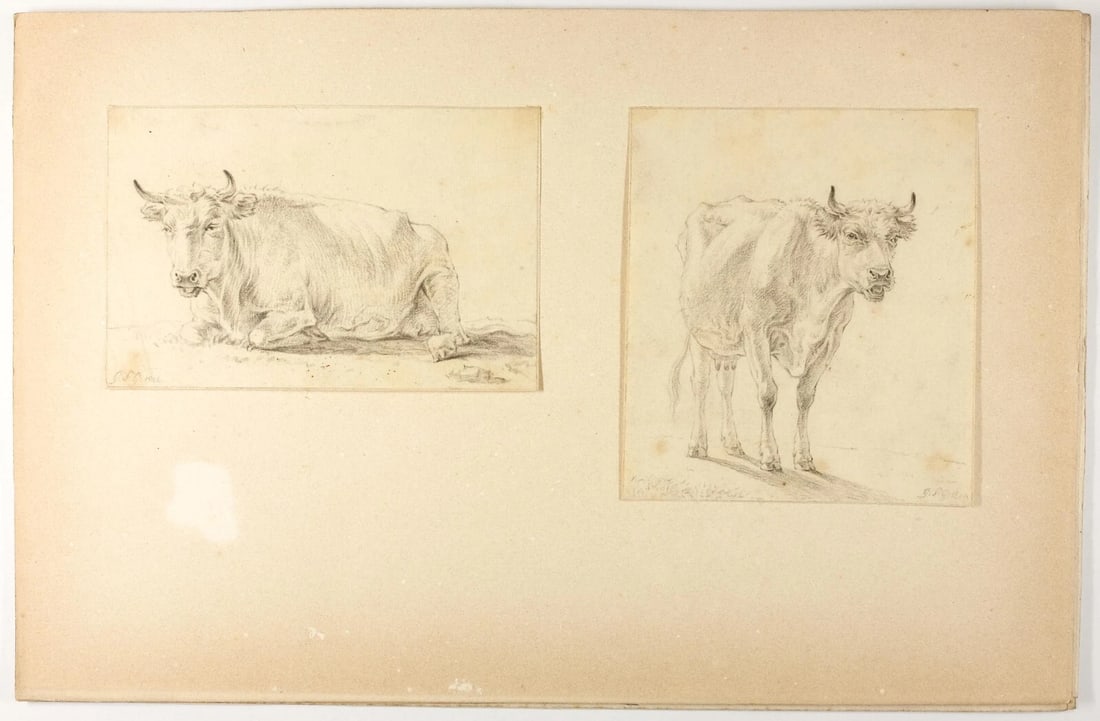 Antique Pencil Drawing Original 19th century Animal, Cows - 6