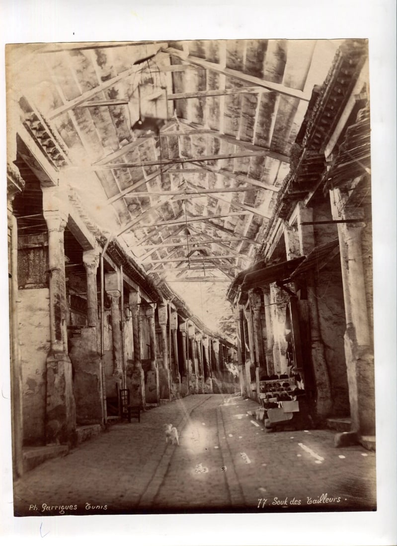 Vintage Photographs Africa, Orientalism, Tunis, Souk - 4