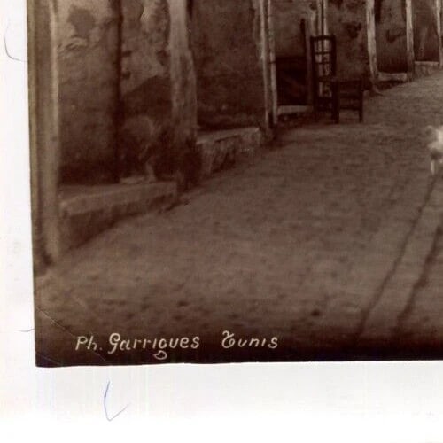 Vintage Photographs Africa, Orientalism, Tunis, Souk - 5