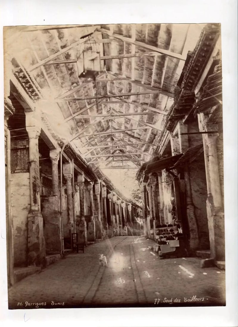 Vintage Photographs Africa, Orientalism, Tunis, Souk - 6