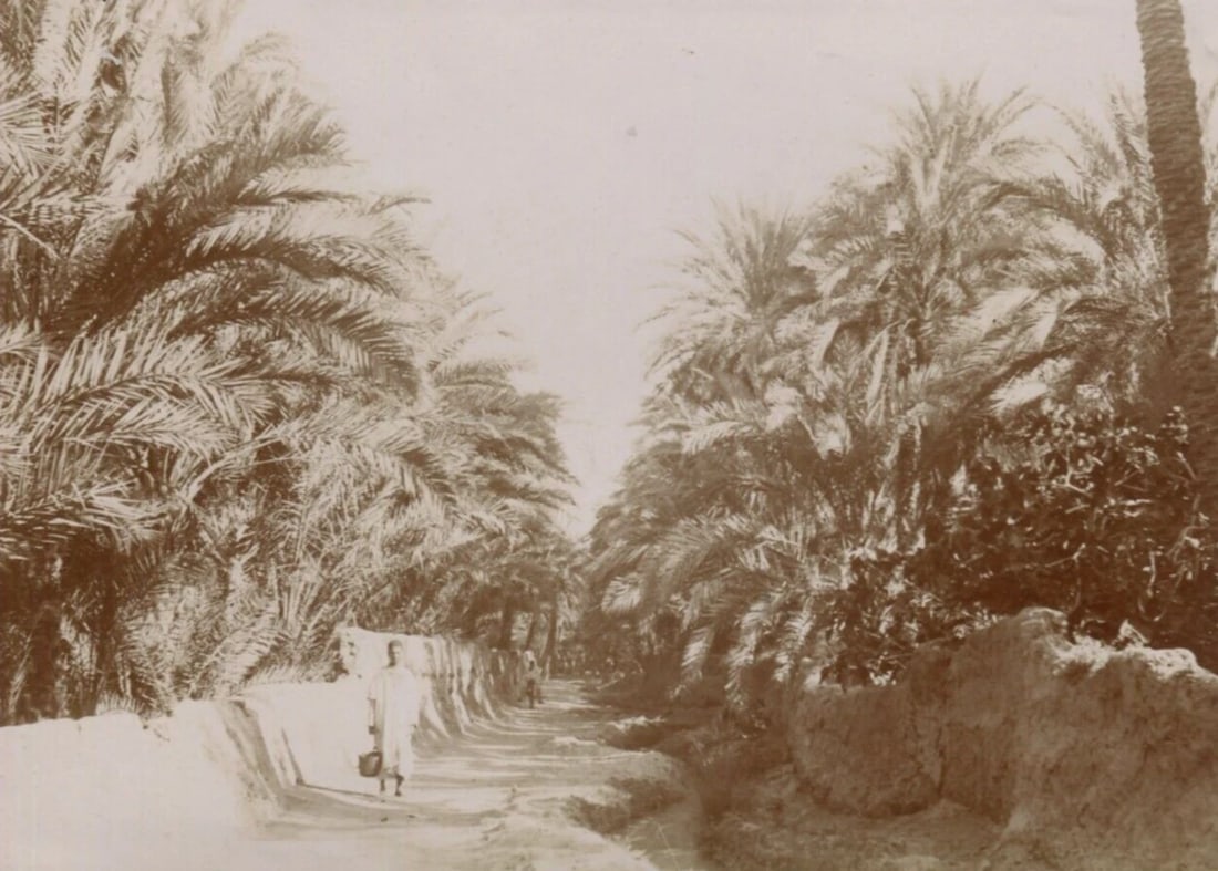 Vintage Photographs Orientalism, Africa, Algeria, Constantine Landscape: Title: Vintage Photographs Orientalism, Africa, Algeria, Constantine Landscape Description: 12 x 16 cm stains, folds Reserve: $50.00 Shipping: Domestic: Flat-rate of $22.00 to anywhere within the