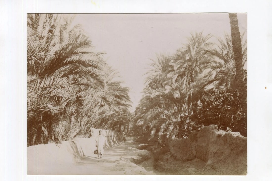 Vintage Photographs Orientalism, Africa, Algeria, Constantine Landscape - 2