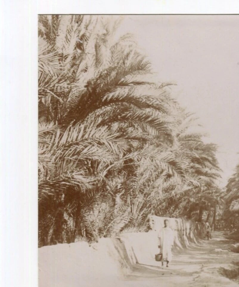 Vintage Photographs Orientalism, Africa, Algeria, Constantine Landscape - 7