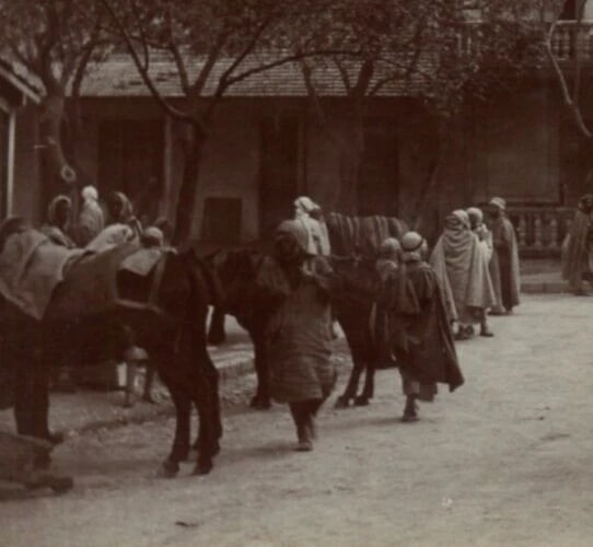 Vintage Photographs Orientalism, Africa, Algeria, People, Landscape - 3
