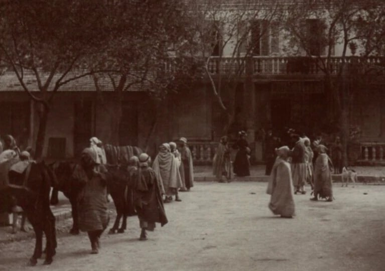 Vintage Photographs Orientalism, Africa, Algeria, People, Landscape - 4