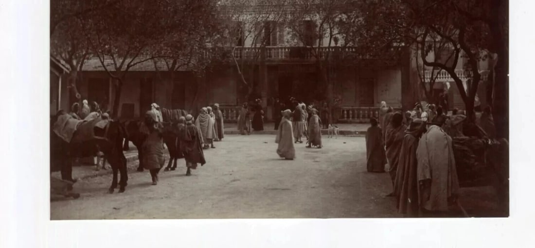 Vintage Photographs Orientalism, Africa, Algeria, People, Landscape - 7