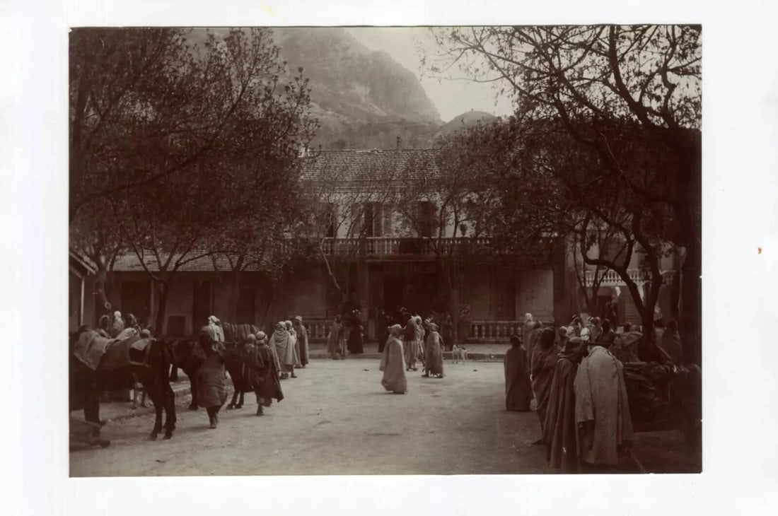 Vintage Photographs Orientalism, Africa, Algeria, People, Landscape - 8