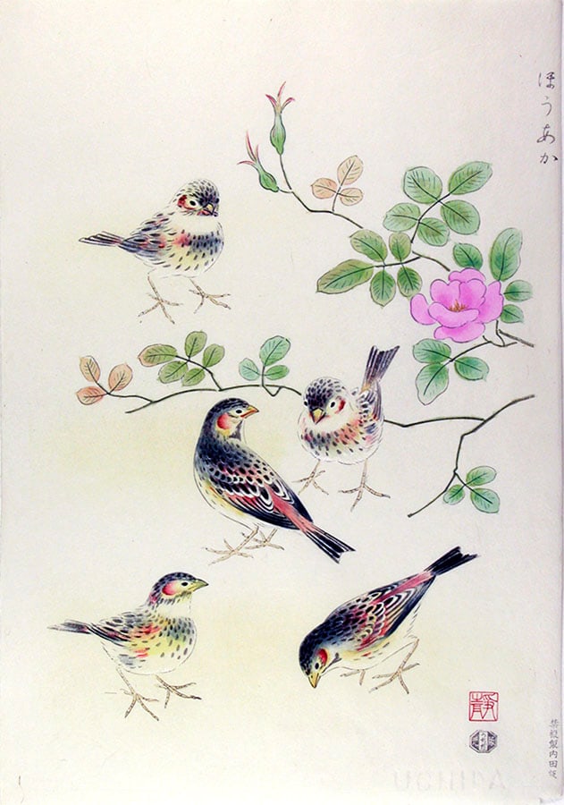 Shizuo ASHIKAGA (1917-91): China Rose and Chestnut-eared Bunting (1 of 1)