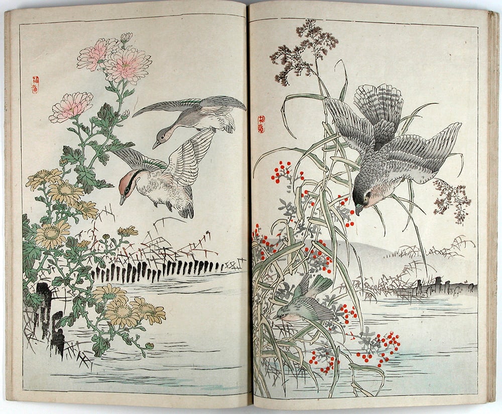 Kono BAIREI (1844-95): A Book of Drawings of Flowers and Birds by Bairei - complete in 2 vols. - 2