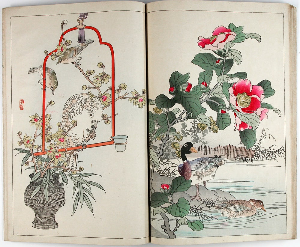 Kono BAIREI (1844-95): A Book of Drawings of Flowers and Birds by Bairei - complete in 2 vols. - 5