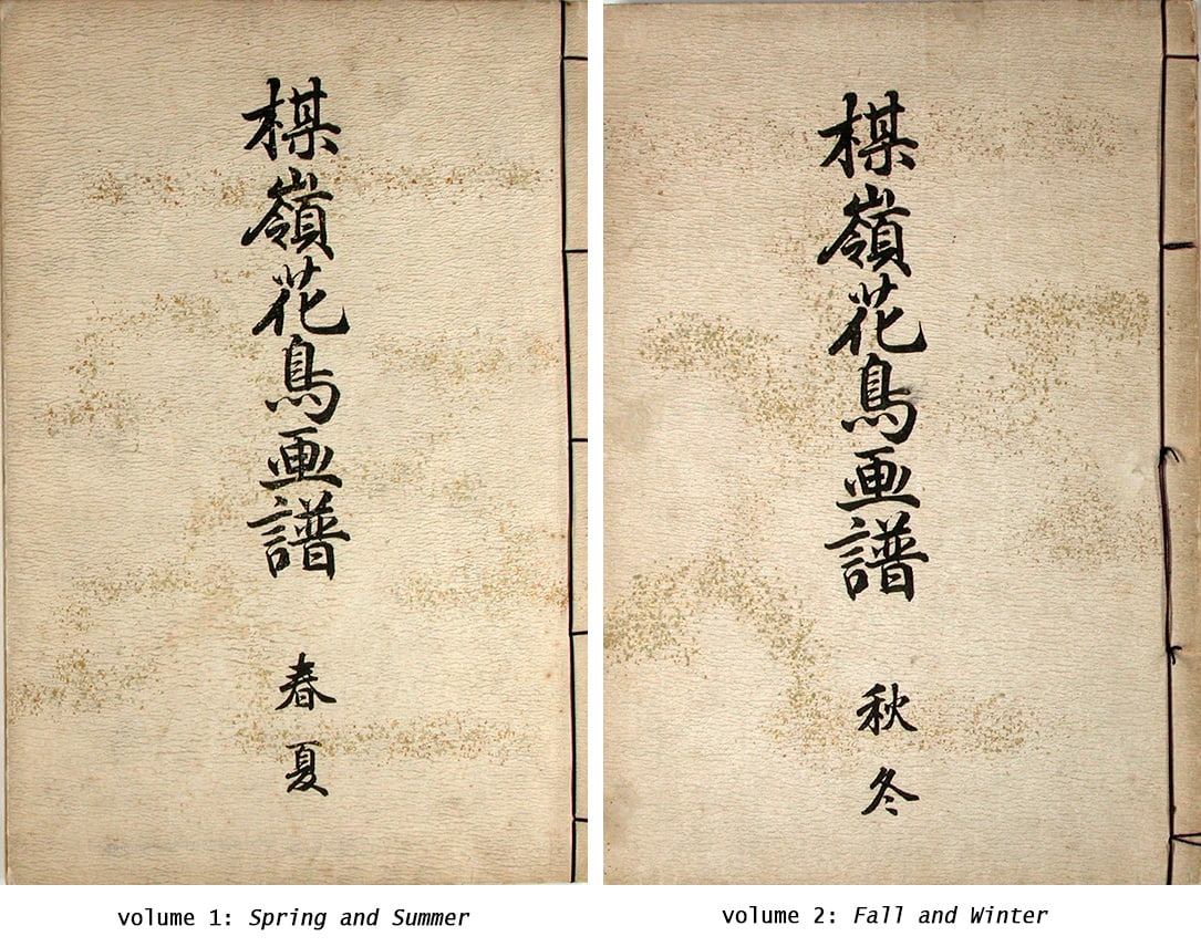 Kono BAIREI (1844-95): A Book of Drawings of Flowers and Birds by Bairei - complete in 2 vols. - 6