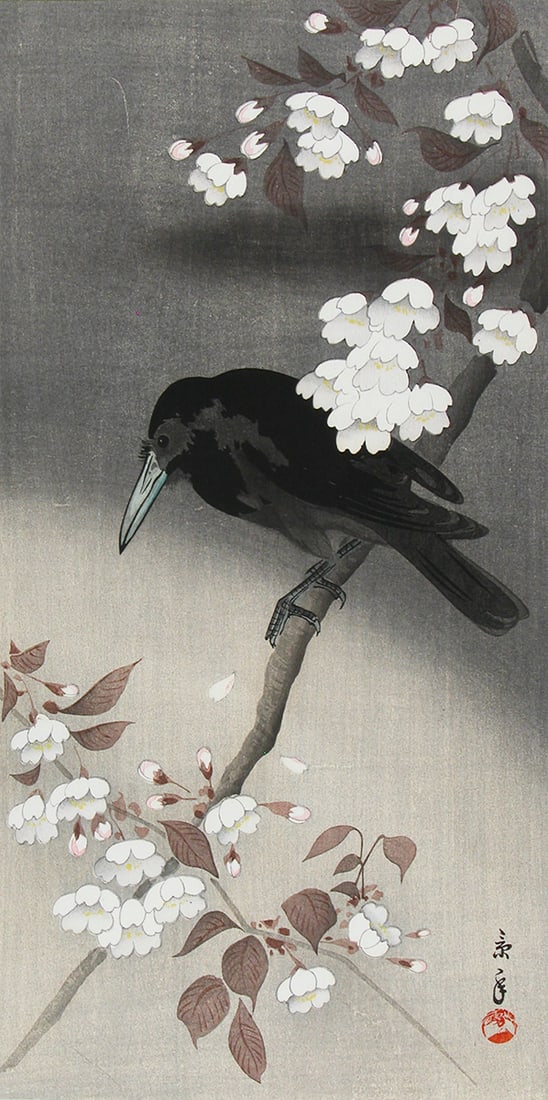 Imao KEINEN ( 1845-1924): Crow and Chrerry Blossoms: Artist: Imao KEINEN ( 1845-1924) Title:Crow and Chrerry Blossoms Date:1900-1920 Medium:woodblock print Size/Format:o-tanzaku (15" x 7 1/2") Condition:EXCELLENT impression, color and condition.