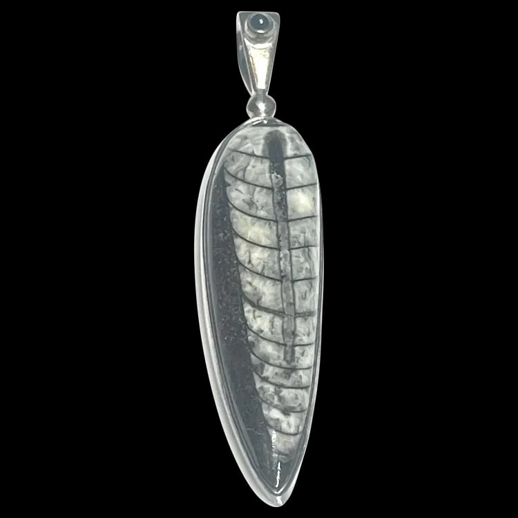 Estate Sterling Silver Sajen Orthoceras Pendant (1 of 6)