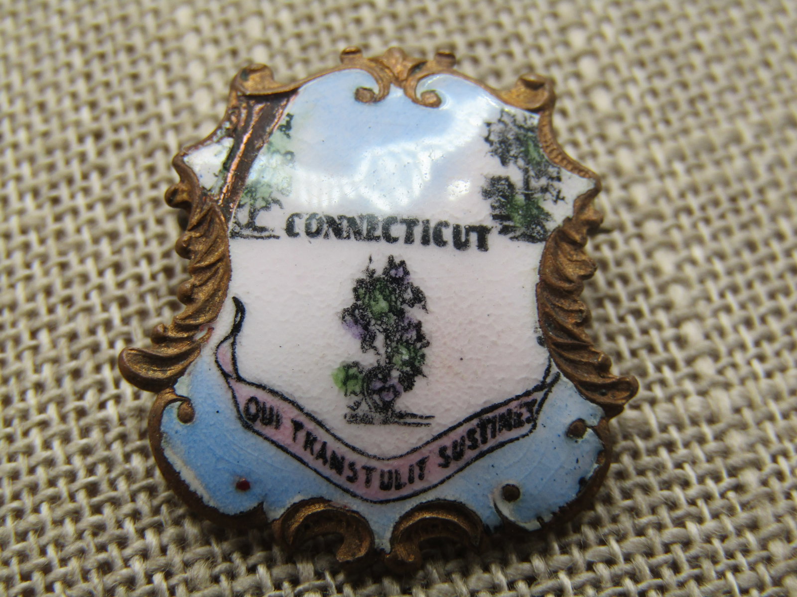Vintage Enameled Connecticut Crest Brooch, C-Clasp. Antique - 2
