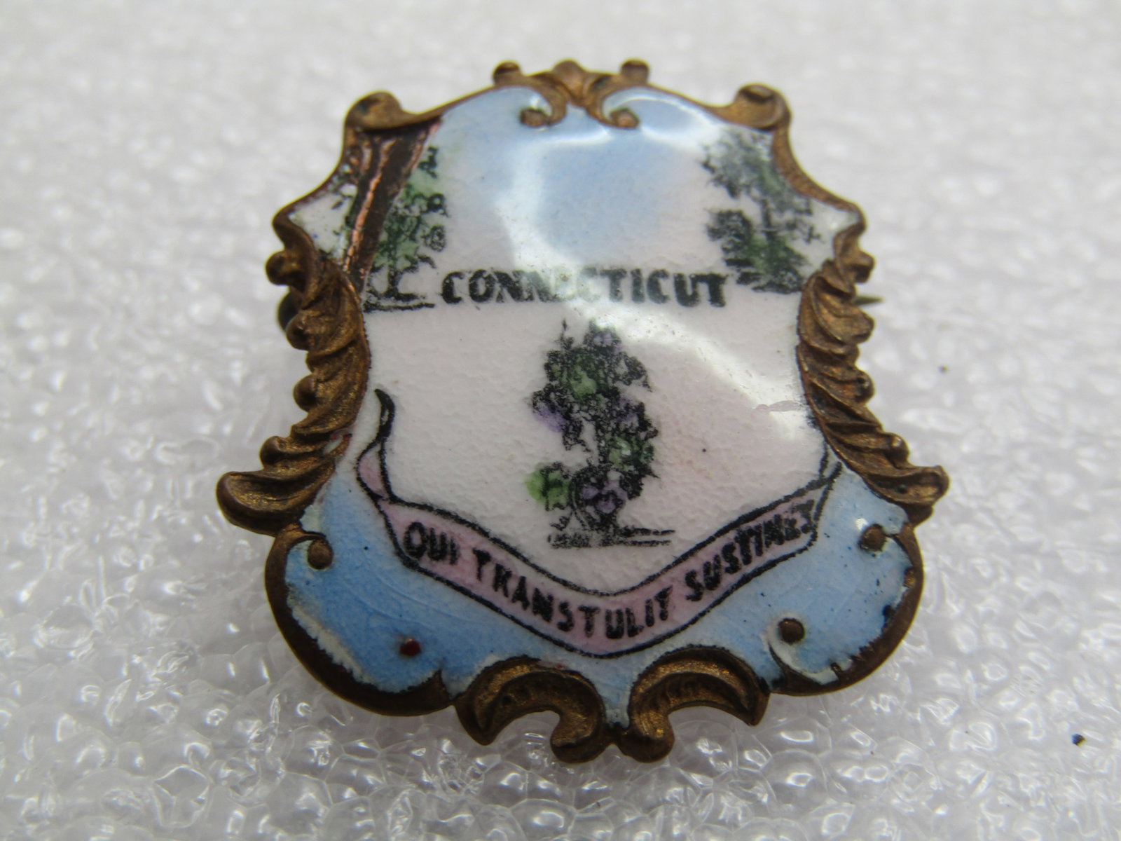 Vintage Enameled Connecticut Crest Brooch, C-Clasp. Antique - 5