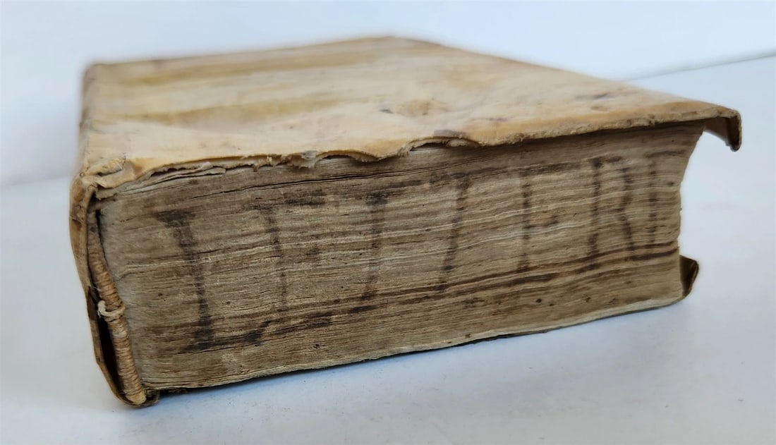 1597 Le lettere di m. Bernardo Tasso antique 16th CENTURY vellum bound - 4