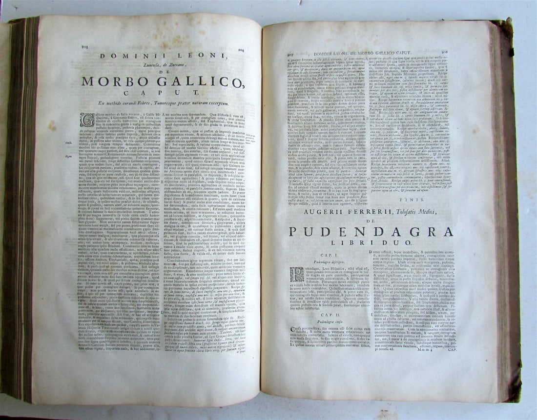 1728 APHRODISIACUS sive de lue VENEREA Aloysio Luisino FOLIO 2 v. in one antique - 9