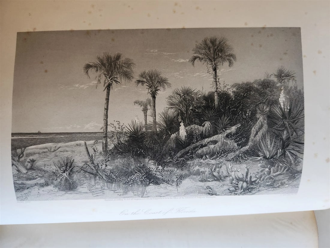 1874 PICTURESQUE AMERICA by WILLIAM BRYANT 2 FOLIO VOLUMES ILLUSTRATED antique - 7