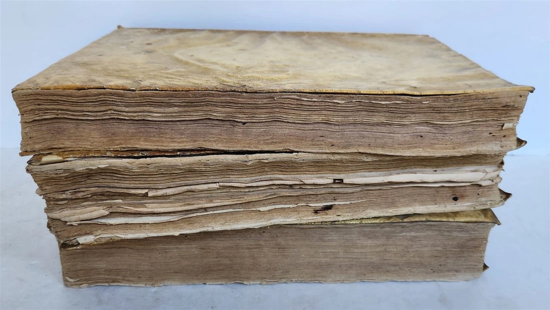 1612-1619 VIRGIL 3 VELLUM BOUND FOLIO VOLUMES antique 17th C. Bucolica &Georgica - 8