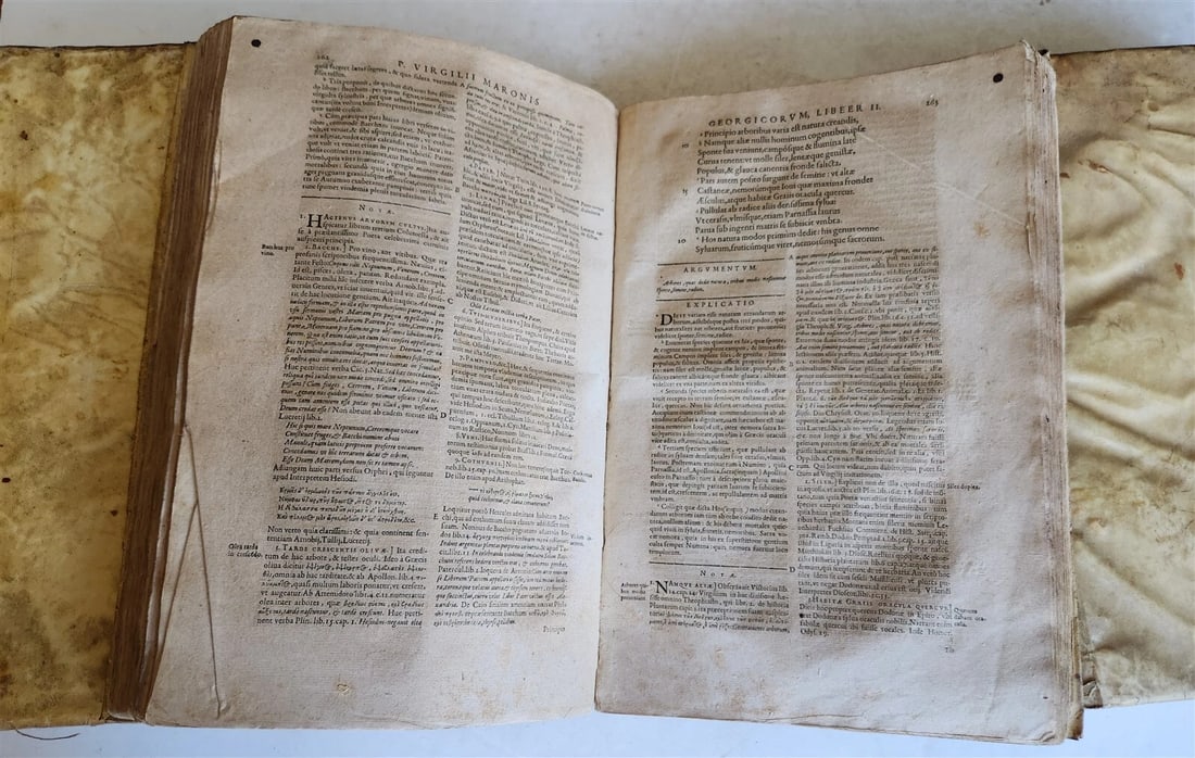 1612-1619 VIRGIL 3 VELLUM BOUND FOLIO VOLUMES antique 17th C. Bucolica &Georgica - 9