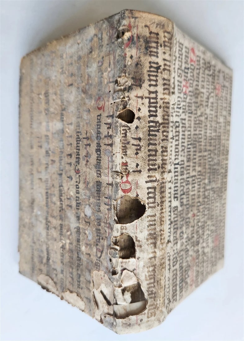 1598 COMEDIES of TERENCE ILLUSTRATED by AMMAN antique VELLUM MANUSCRIPT BINDING - 12