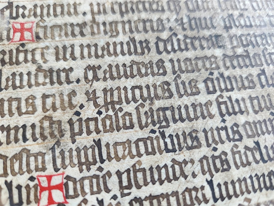 1598 COMEDIES of TERENCE ILLUSTRATED by AMMAN antique VELLUM MANUSCRIPT BINDING - 13