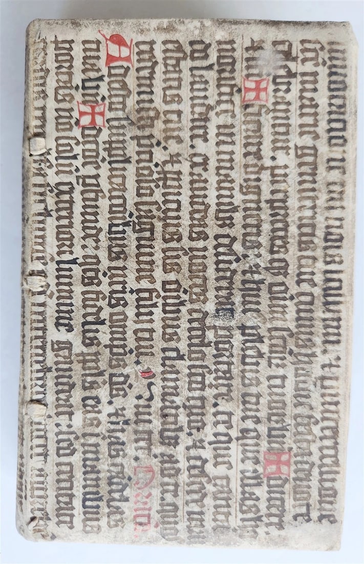1598 COMEDIES of TERENCE ILLUSTRATED by AMMAN antique VELLUM MANUSCRIPT BINDING - 14