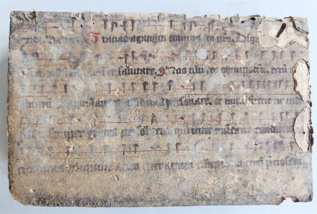 1598 COMEDIES of TERENCE ILLUSTRATED by AMMAN antique VELLUM MANUSCRIPT BINDING - 16