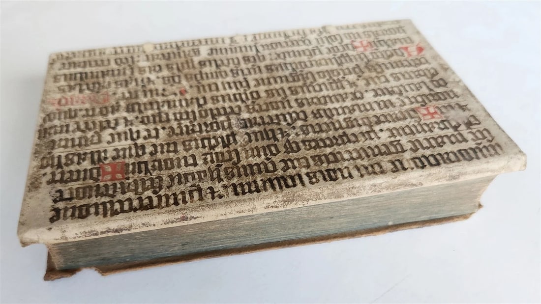 1598 COMEDIES of TERENCE ILLUSTRATED by AMMAN antique VELLUM MANUSCRIPT BINDING - 9