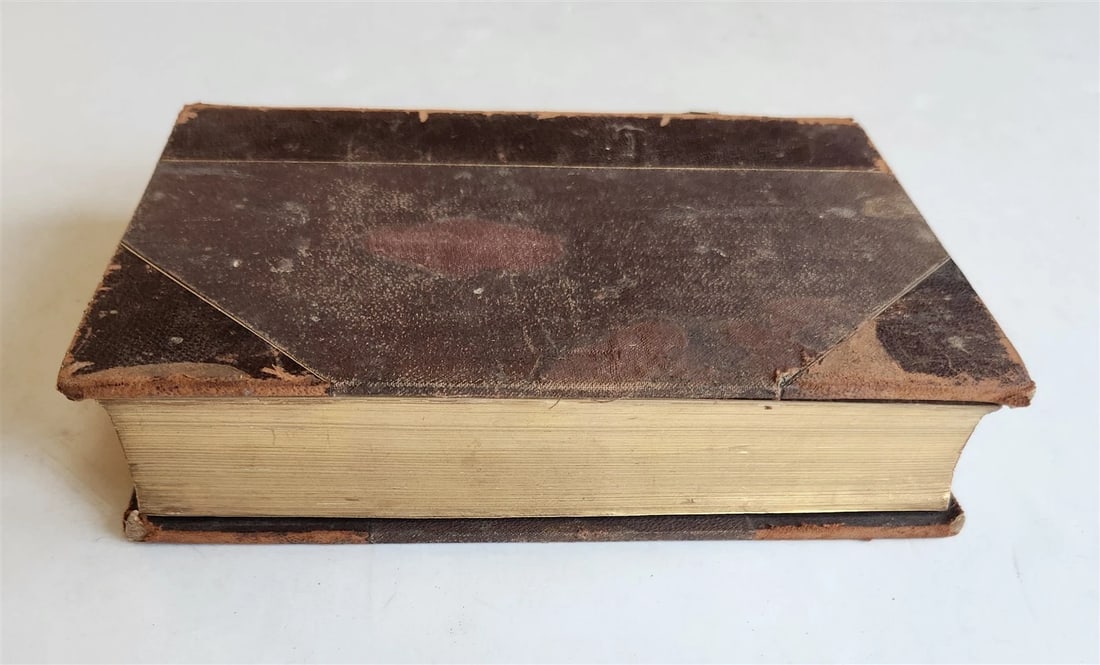 1869 TRAVEL in EGYPT & PALESTINE Prince & Princess of Wales antique ILLUSTRATED - 4