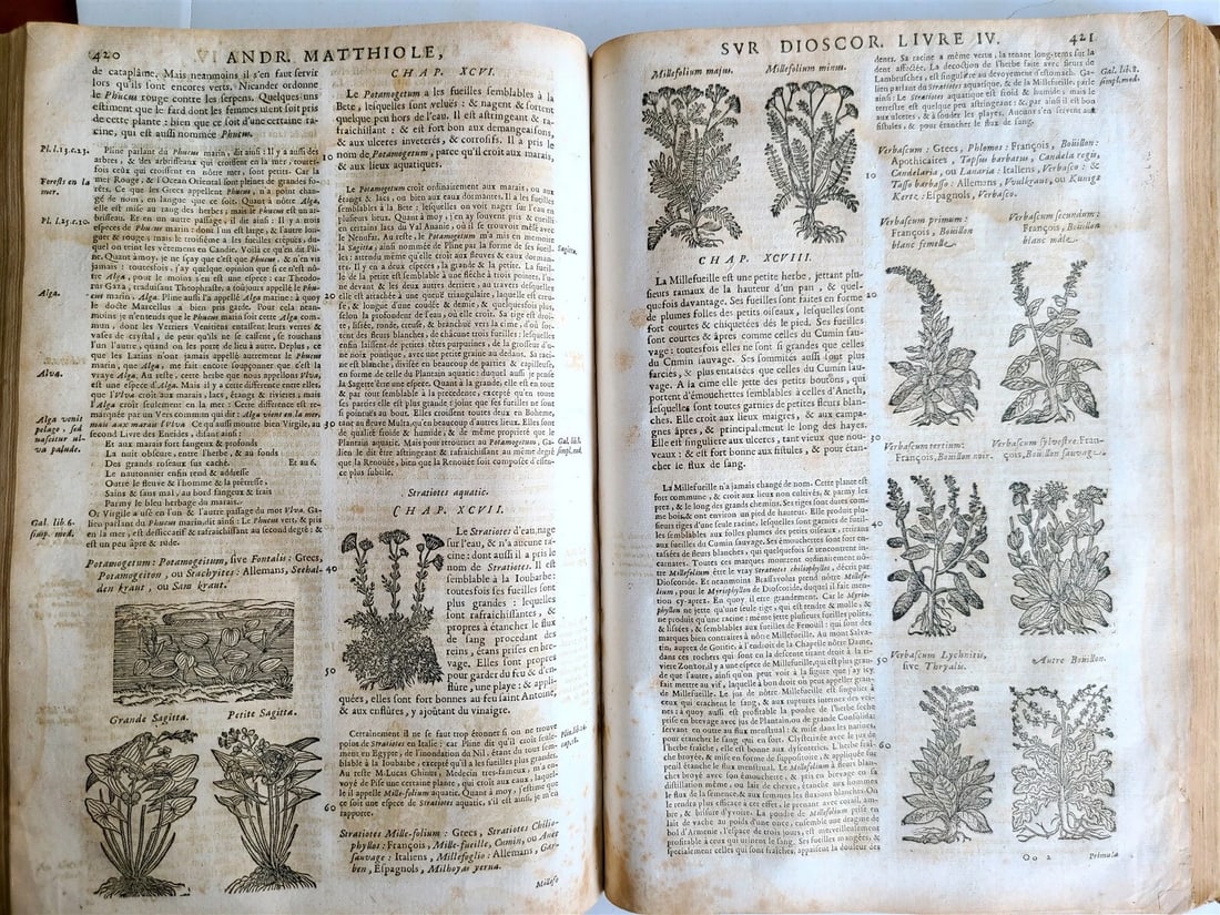 1680 MEDICAL PLANTS ILLUSTRATED w/ 1478 woodcuts antique by Mattioli FOLIO rare - 10