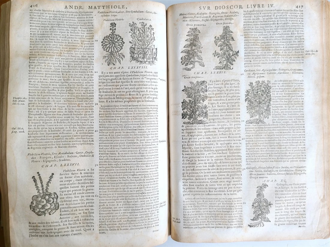 1680 MEDICAL PLANTS ILLUSTRATED w/ 1478 woodcuts antique by Mattioli FOLIO rare - 12