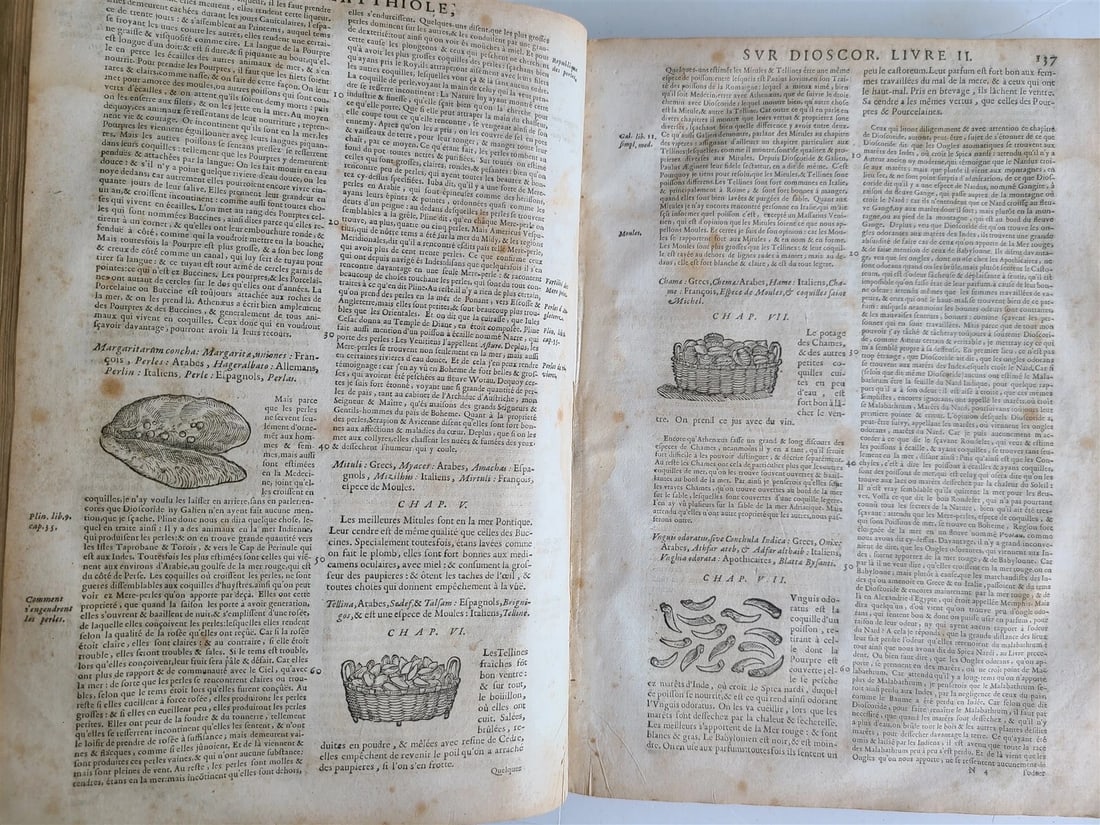 1680 MEDICAL PLANTS ILLUSTRATED w/ 1478 woodcuts antique by Mattioli FOLIO rare - 4
