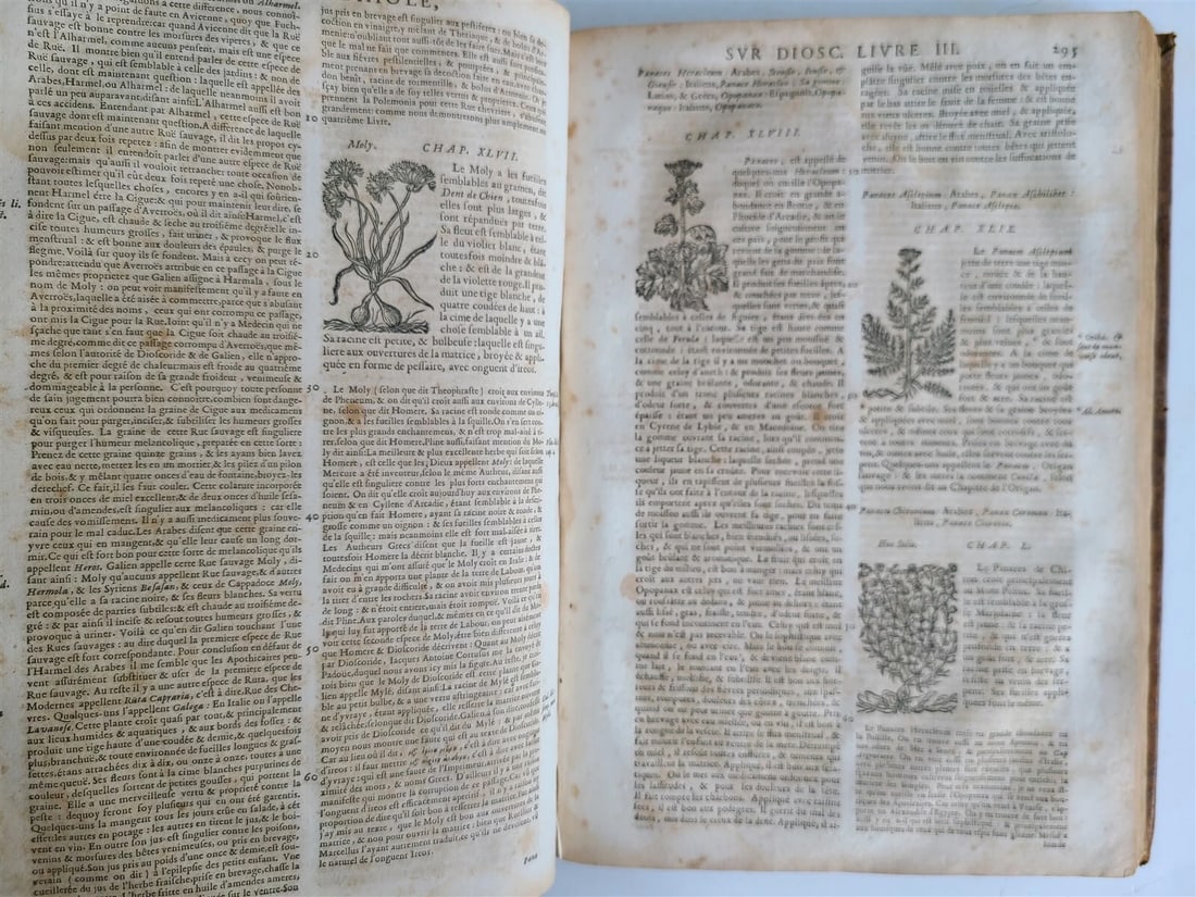 1680 MEDICAL PLANTS ILLUSTRATED w/ 1478 woodcuts antique by Mattioli FOLIO rare - 5