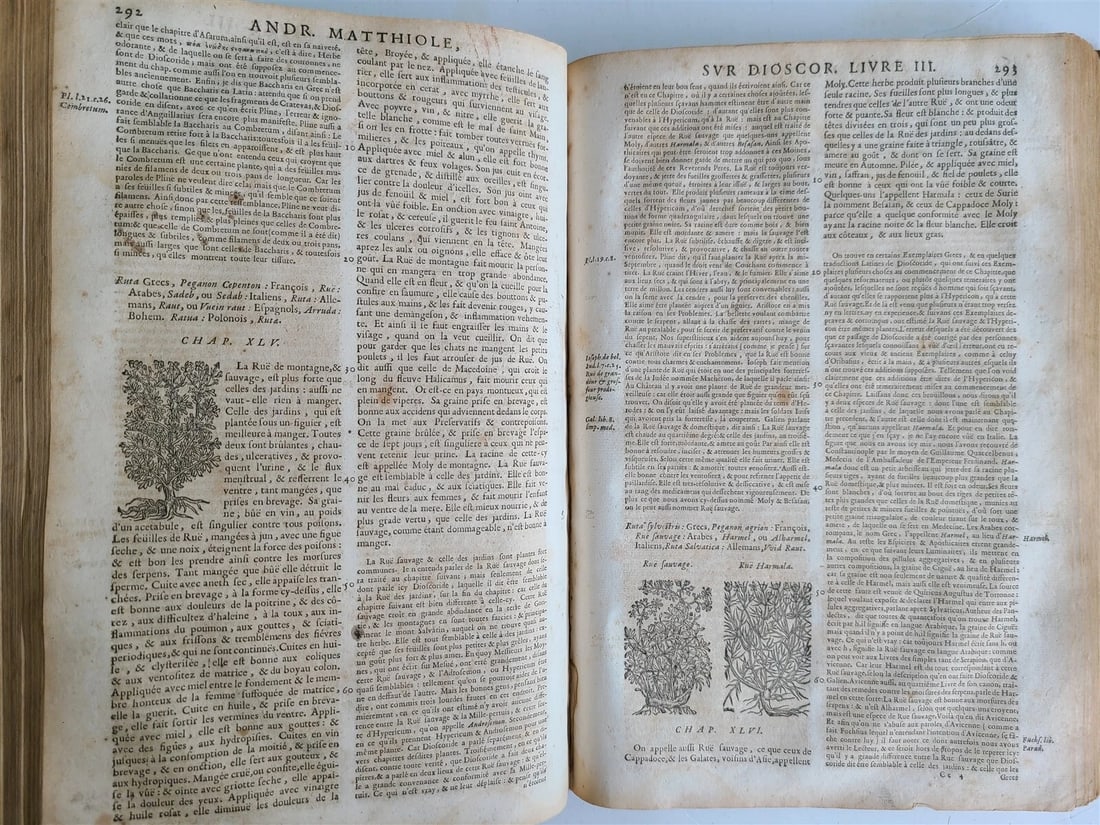 1680 MEDICAL PLANTS ILLUSTRATED w/ 1478 woodcuts antique by Mattioli FOLIO rare - 6