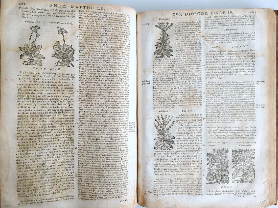1680 MEDICAL PLANTS ILLUSTRATED w/ 1478 woodcuts antique by Mattioli FOLIO rare - 9