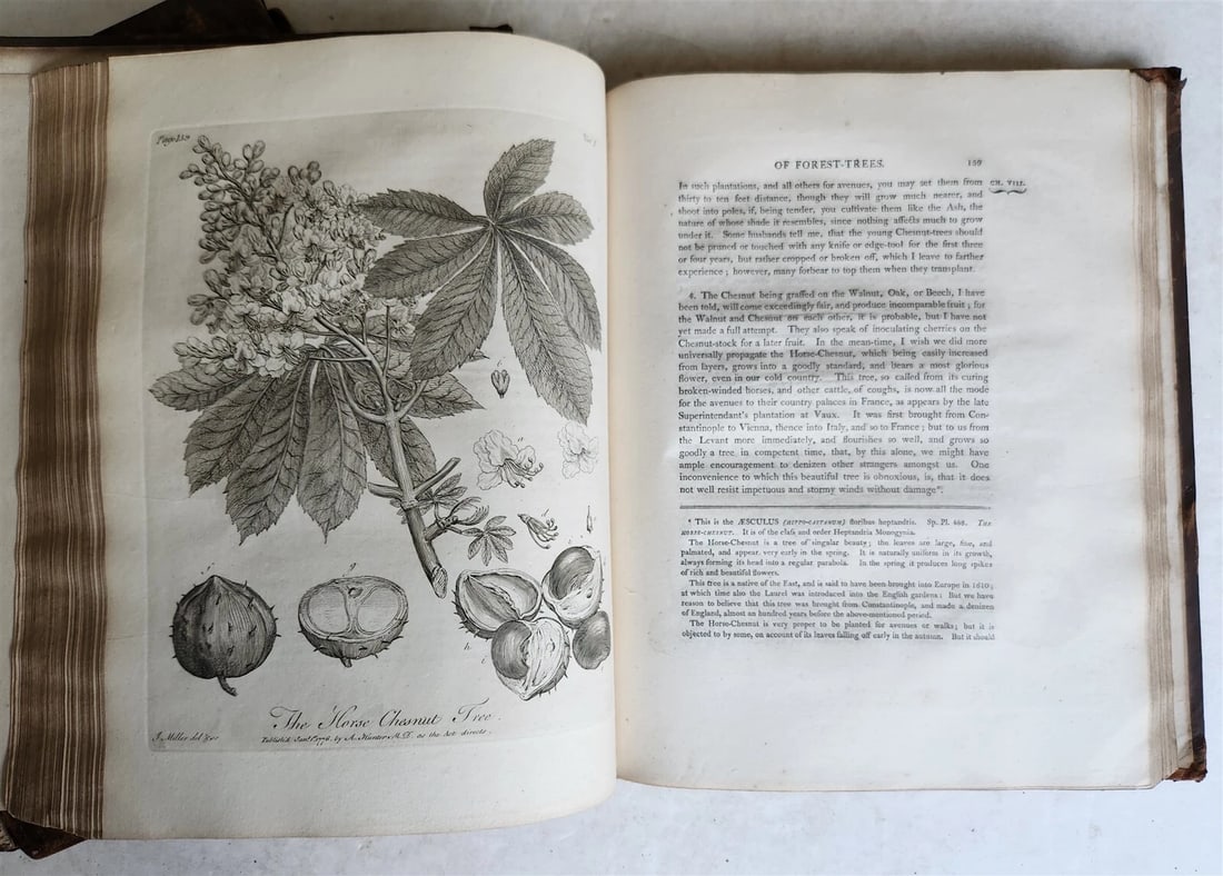1801 SILVA: DISCOURSE OF FOREST TREES 2 VOLUMES ILLUSTRATED antique in ENGLISH - 10